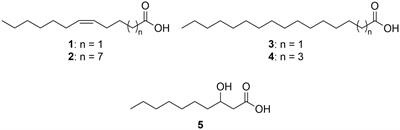 Outer membrane vesicles of Dinoroseobacter shibae transport a volatile aldehyde